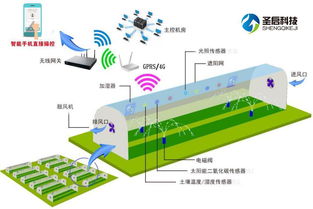談一談溫室大棚物聯網系統的組成結構